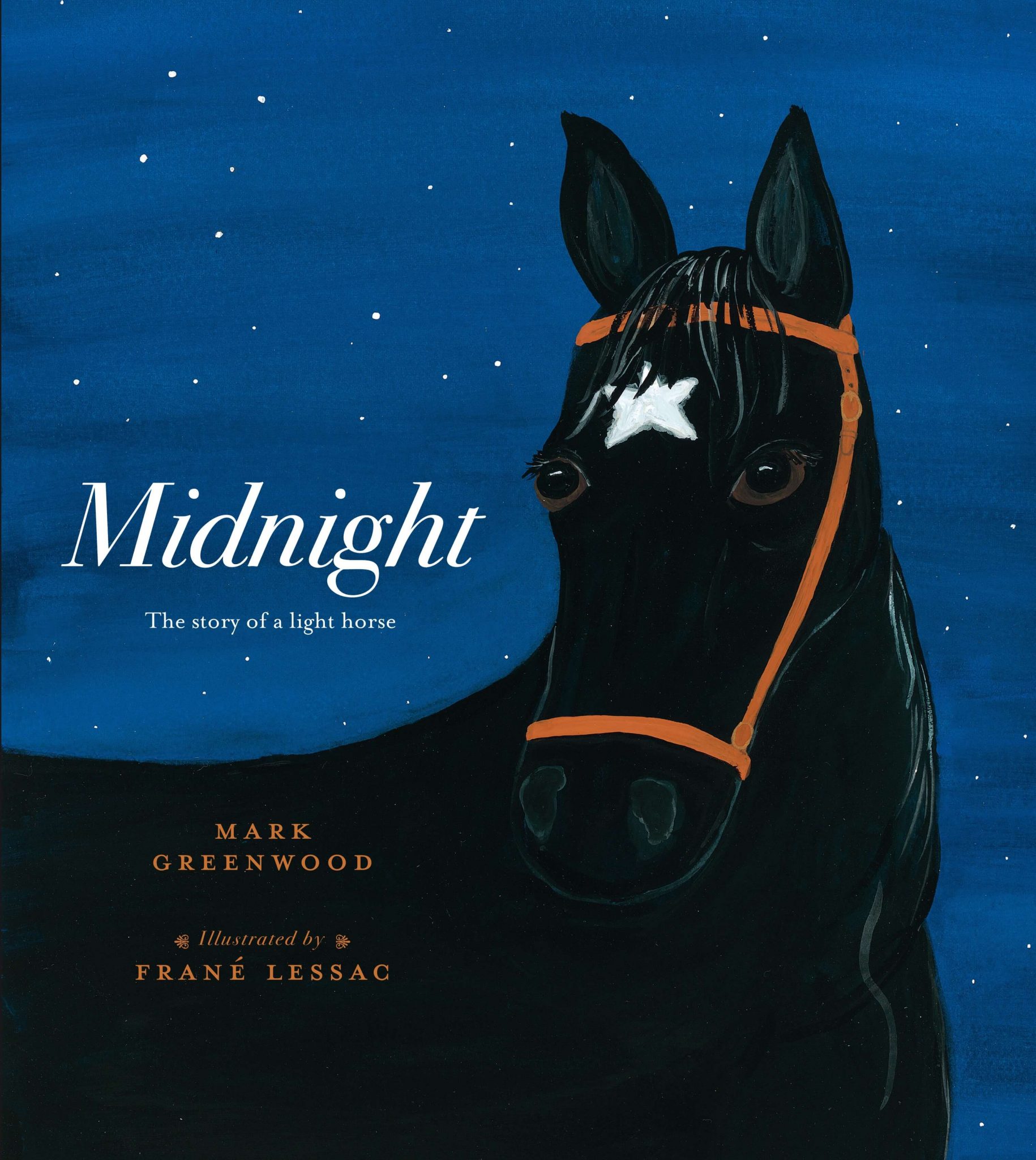 Midnight - Frané Lessac