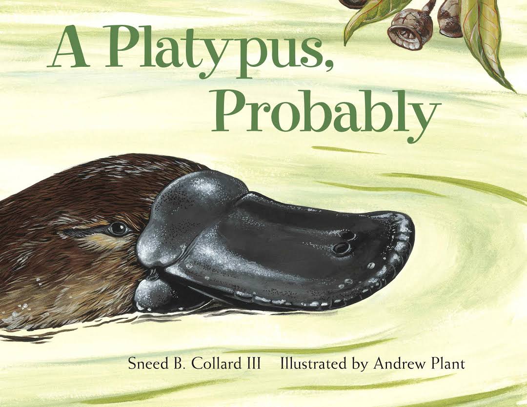 A Platypus, Probably - Andrew Plant