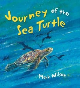 Journey of the Sea Turtle